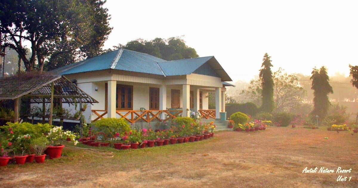 Cream single-storey cottage with a blue corrugated-tin roof at dawn, its veranda edged with an orange criss-cross timber railing and a long border of red terracotta flower pots, mist rising off the lawn behind
