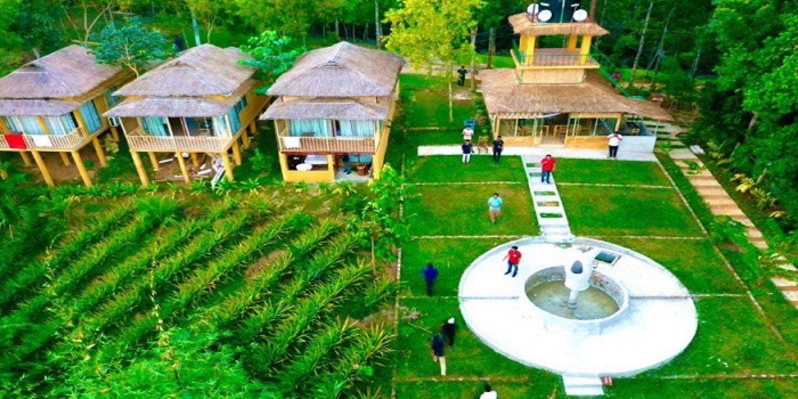 An aerial view of Arannyo Nibas Eco Resort's cottages and lawn among tea gardens