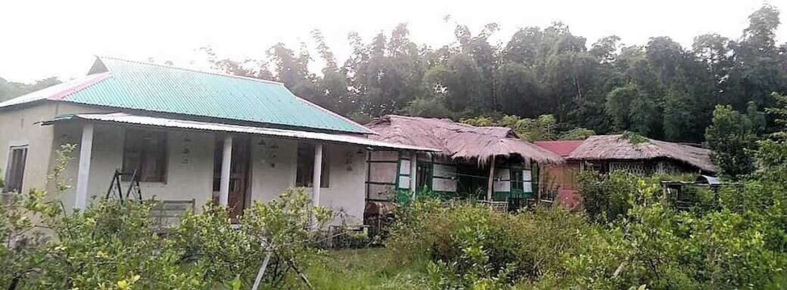 The tin-roofed cottage buildings of Bondhur Bari Eco Resort set among trees