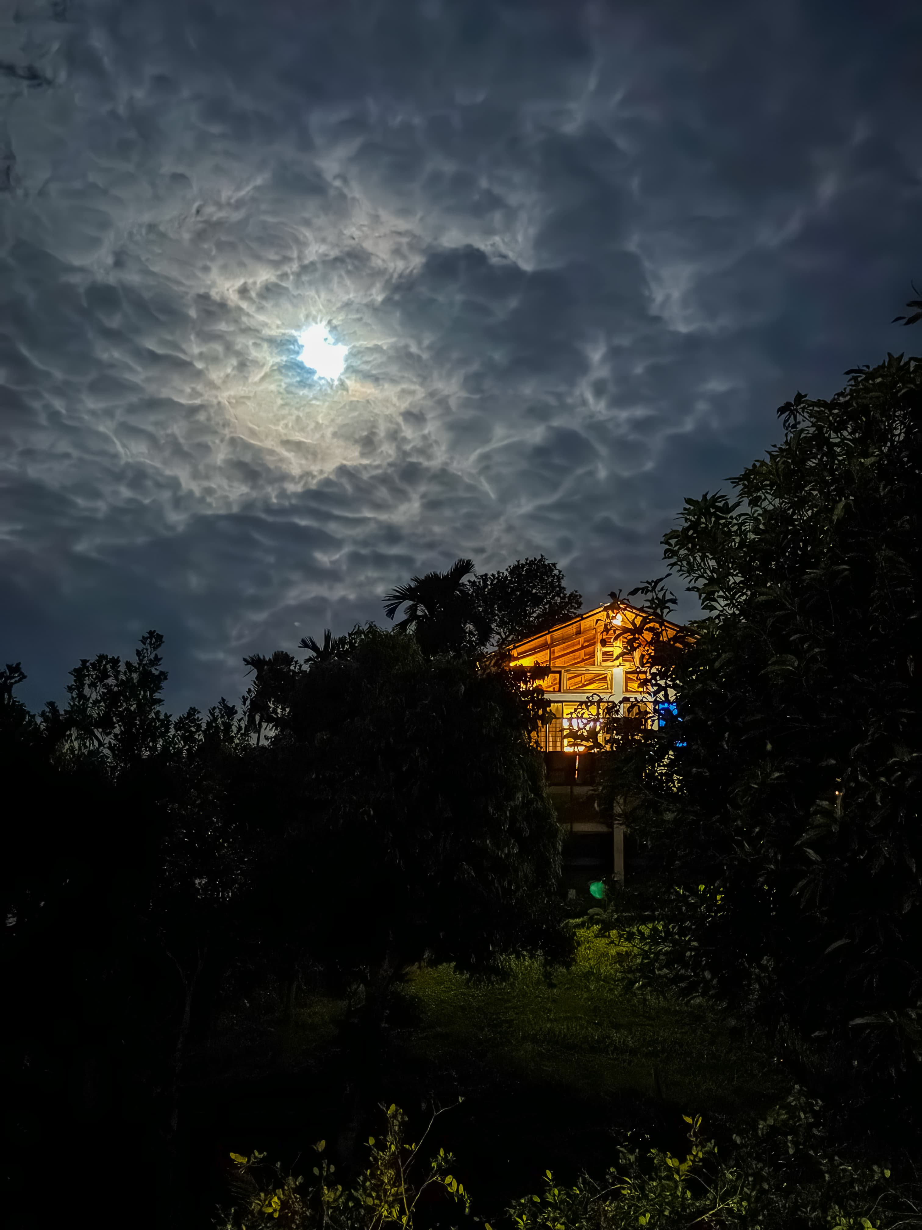 One of Bonsai Eco Village's elevated wooden cottages lit up at night under a moonlit sky
