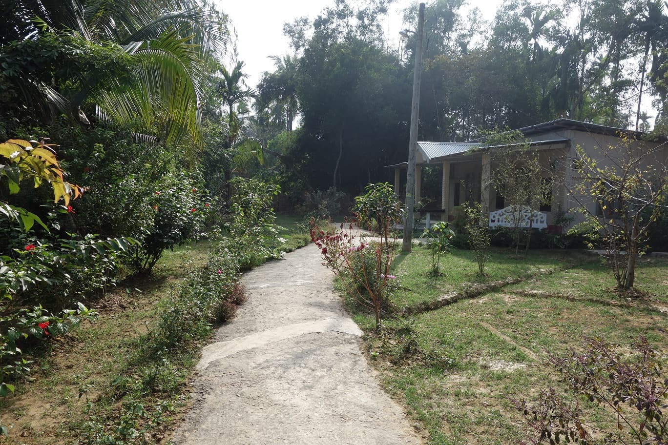 Concrete garden path through the guest house grounds, edged with red hibiscus and young ornamental shrubs, running past a mown lawn toward a cream single-storey guest block with a long open veranda under a corrugated-tin roof