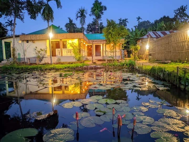 Dusk view of the lit-up cottage reflected in the lily pond, with warm string lights along the veranda and lotus pads floating on the water