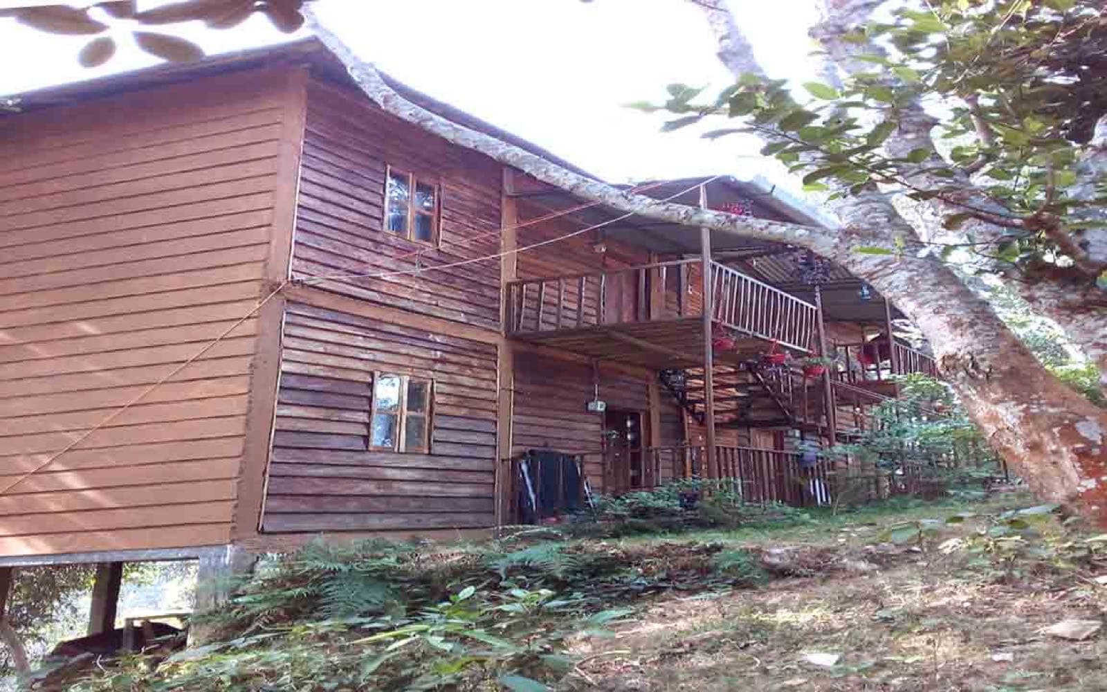 The wooden hilltop building of Jungle Cottage seen through surrounding forest