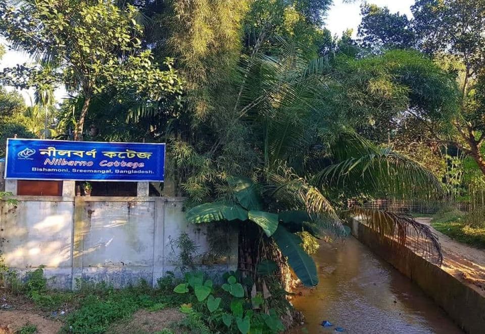Blue painted signboard on the cottage's concrete boundary wall reading "নীলবর্ণ কটেজ / Nilbarno Cottage, Bishamoni, Sreemangal, Bangladesh", with banana and betel-nut palms above a narrow silt-coloured canal running past the wall