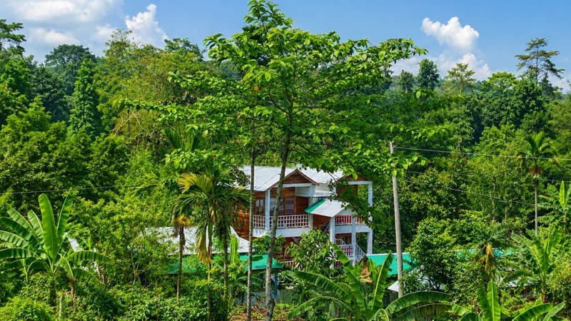 Daytime view of Nirban Nibash Resort's wooden cottage building rising above surrounding tea-garden greenery and banana trees