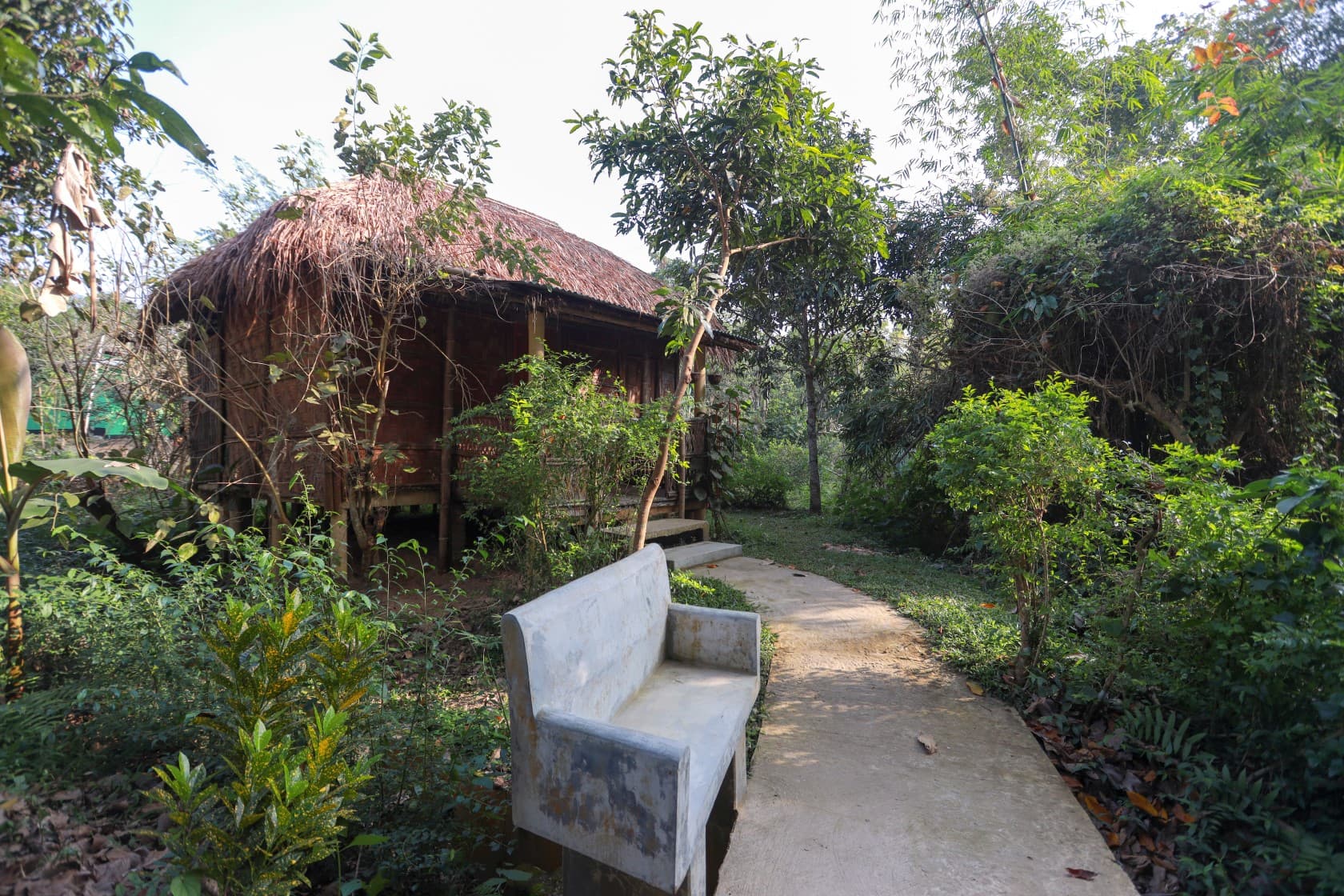 Babui Cottage, a raised thatched-roof hut on stilts along a garden path at Nishorgo Eco Cottage