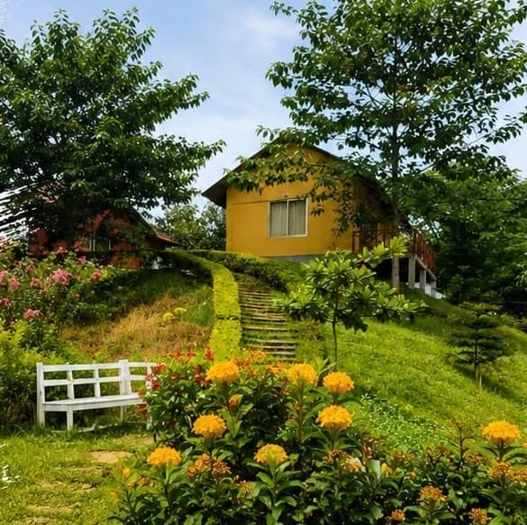 Yellow gable cottage on a grassy hilltop reached by a stepped grass path, with a white wooden bench and beds of orange ixora flowers in the foreground and a red cottage among pink blossom to the left