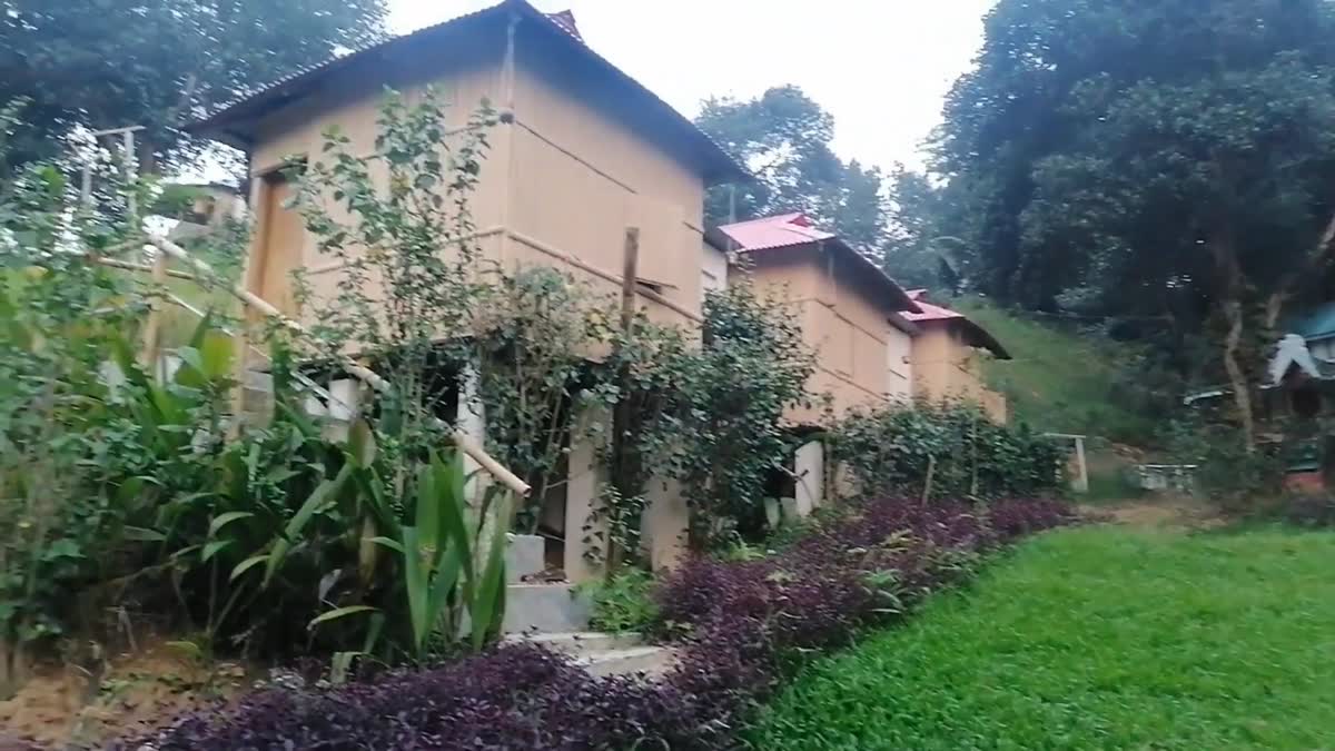 Row of bamboo cottages seen from a garden path lined with red-leafed shrubs and a manicured lawn