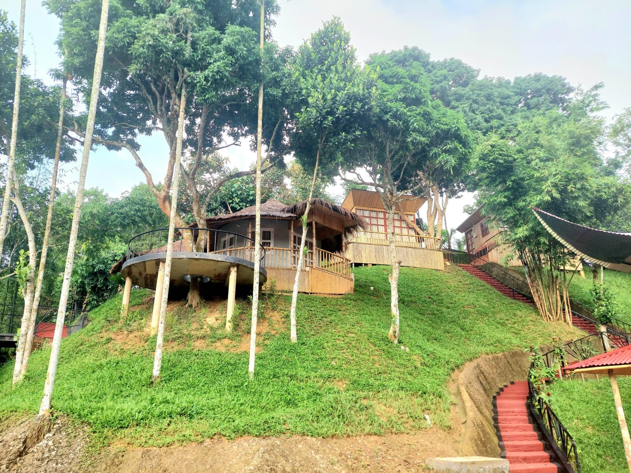 Round thatched-roof cottage on an elevated circular deck at Phayre's Woods Resort, surrounded by trees