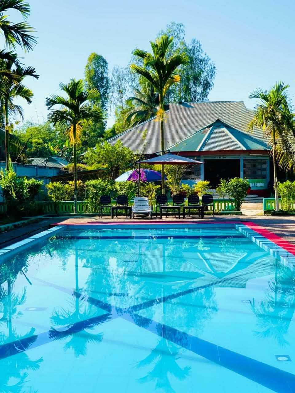 Outdoor swimming pool with a red-tiled edge, a white lounger and a row of black plastic chairs under a tilted parasol, in front of a teal open-fronted pavilion with a corrugated metal roof and a green sign reading "Tea Garden", ringed by areca palms