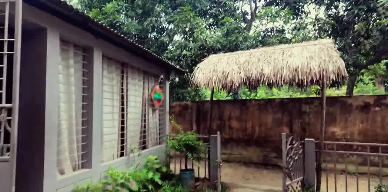 Rear grounds of the guest house: a tin-roofed wing with tall barred windows and white curtains on the left, a decorative birdhouse ornament on its wall, and a thatched canopy sheltering a planted bed on the boundary wall beside an iron gate