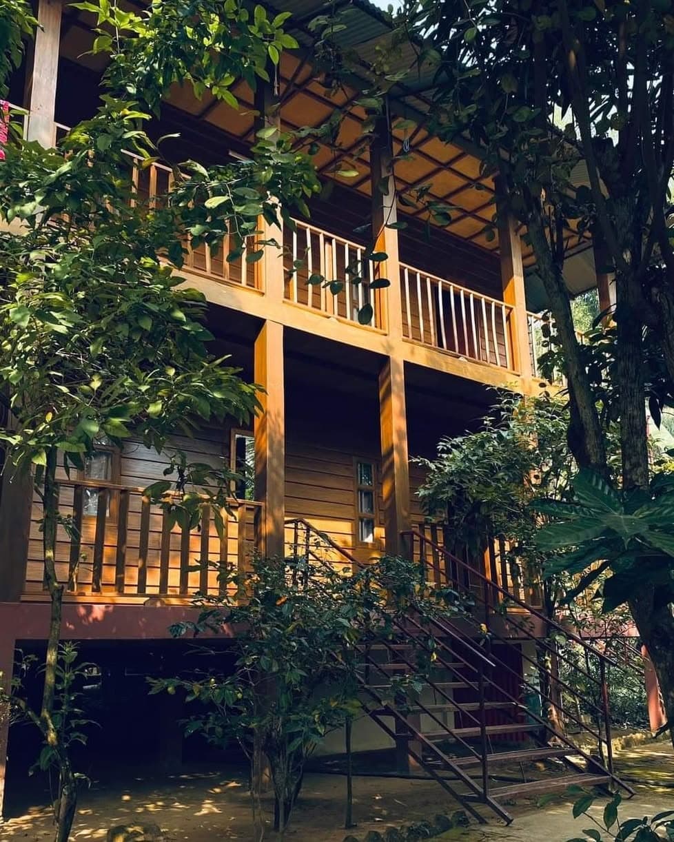 Two-storey timber cottage raised on posts, its open upper veranda edged with wooden balusters, a steel staircase climbing the near corner, half-screened by jungle foliage in dappled afternoon sun