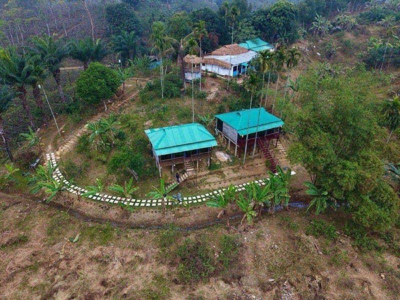 An aerial view of Torulata Escape's cottages with green roofs on a wooded hillside
