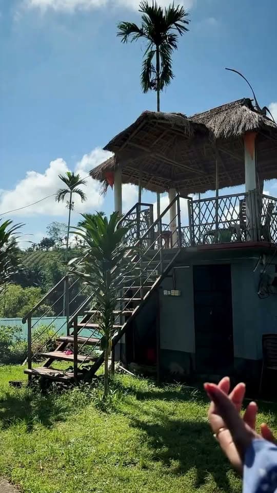 Two-story cottage with an elevated thatched-roof watchtower deck ("Mayna's Nest") and staircase, tea garden hills and blue sky in the background