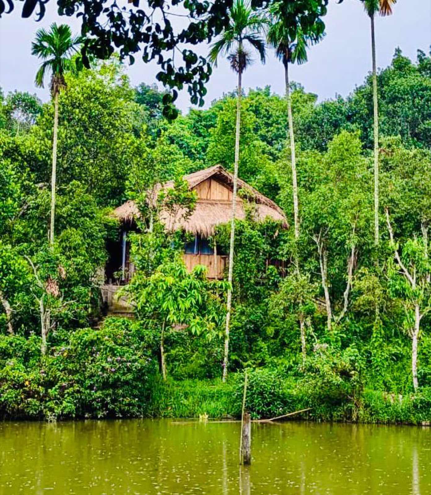A thatched-roof Jungle Villa cottage at Shanti Bari Eco Resort seen across the pond
